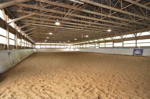 Arena - Country homes for sale and luxury real estate including horse farms and property in the Caledon and King City areas near Toronto